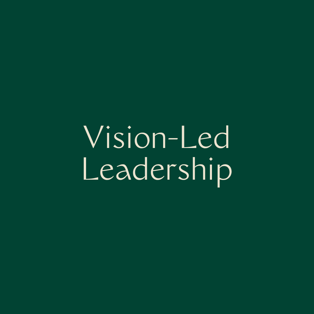 Vision-Led Leadership