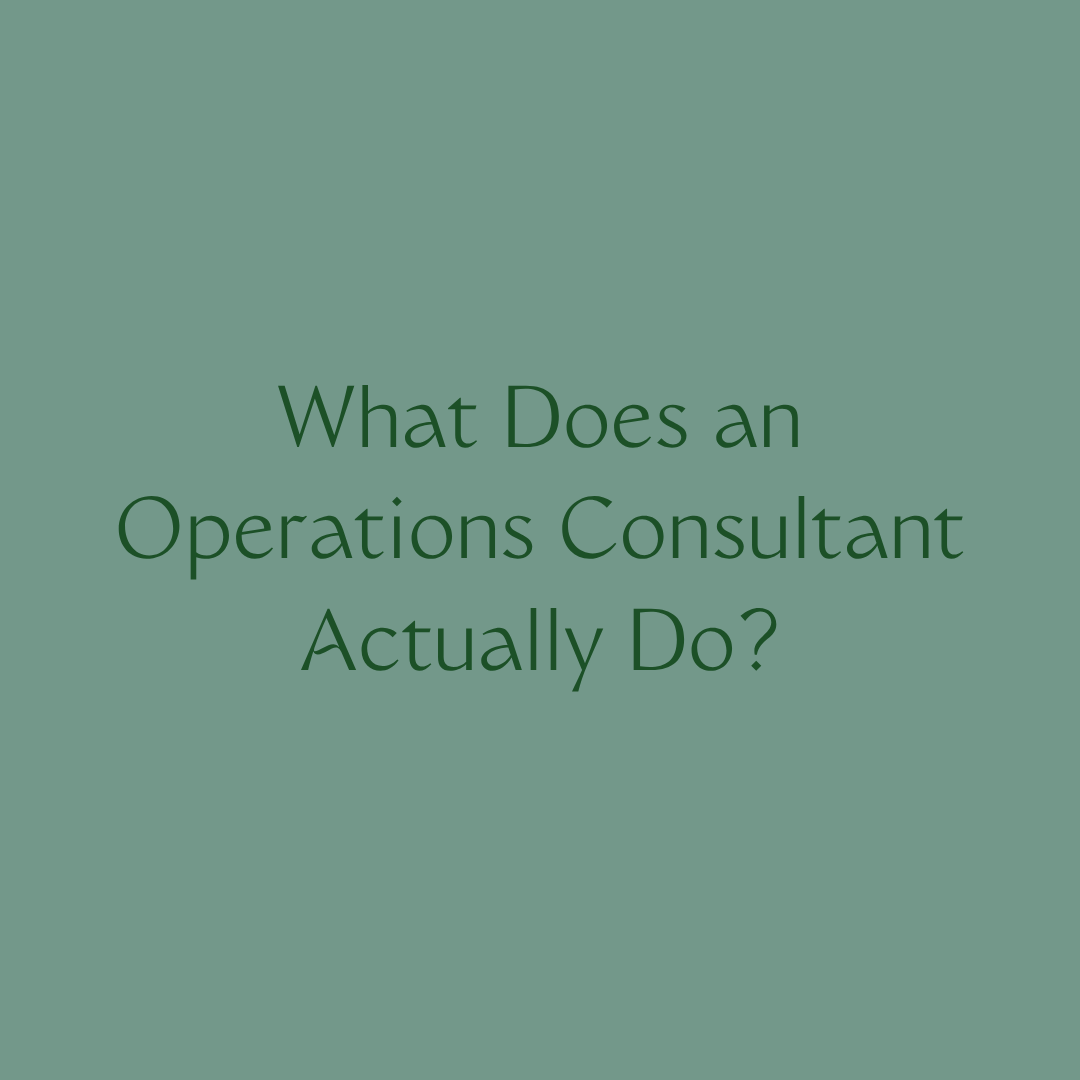 what does an operations consultant actually do?